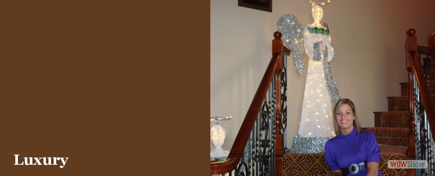 banner5
